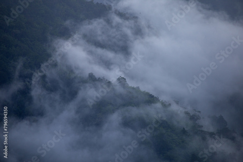 High-angle view of green forest mountain after rain There was a dense white rain mist that looked fresh. the rainforest looks lively. But it can make you feel lonely when you're alone. © Core