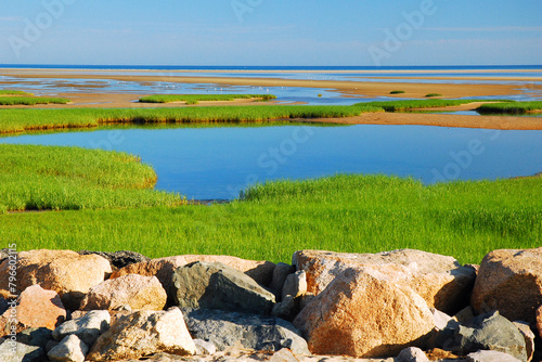 A beautiful coastal marchland, with calm water and lush grasses, is preserved at Paines State Park in Cape Cod photo