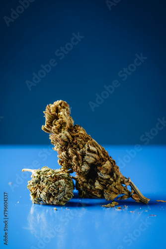 cannabis buds on a blue surface