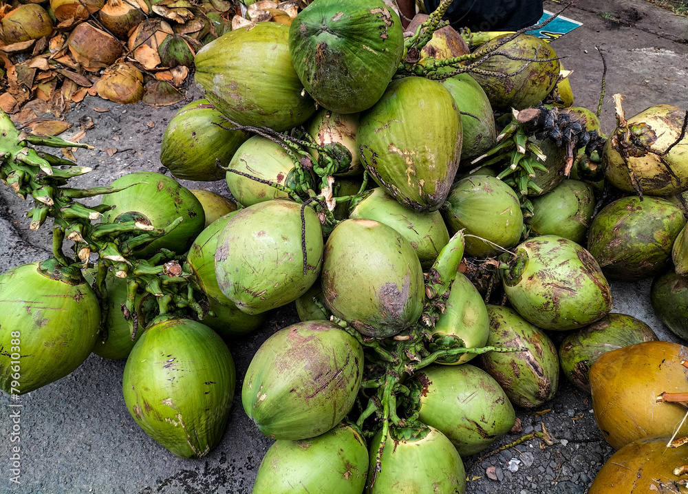 A pile of freshly picked young coconut Indonesian colored light green and light brown in the yard from a close distance. Side view.
A pile of freshly picked young coconut Indonesian colored light green and light brown in the yard from a close distance. Side view.
