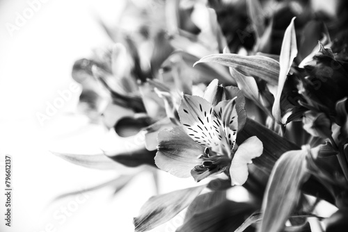 Mourning lily flowers bouquet. Black white abstract art photography funeral card design background. A cluster of flowers in monochrome. Grief, sorrow, loss concepts. Selective focus