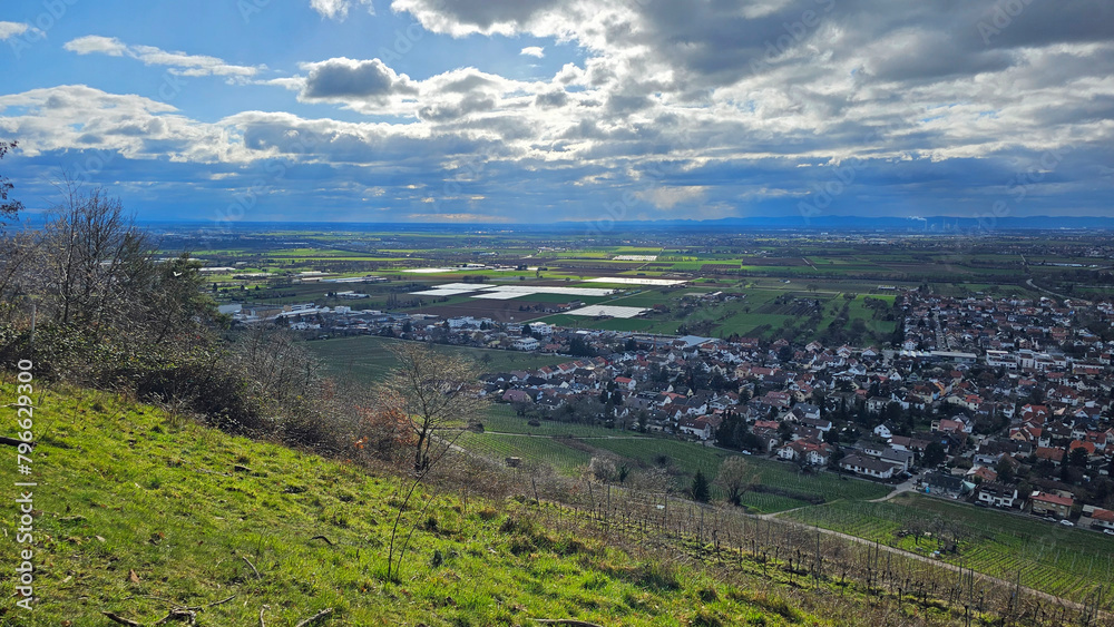 Blick von Schriesheim/Dossenheim auf die Rheinebene