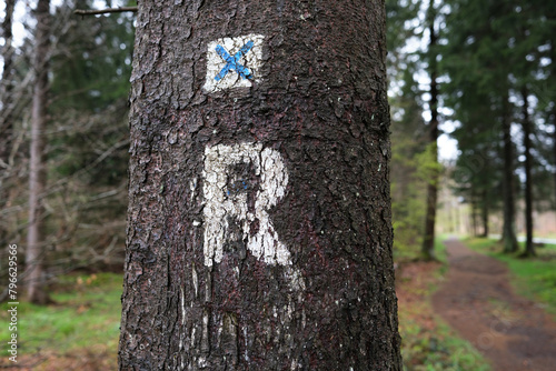 Wanderwegmarkierung am Rennsteig, Thüriger Wald, Deutschland