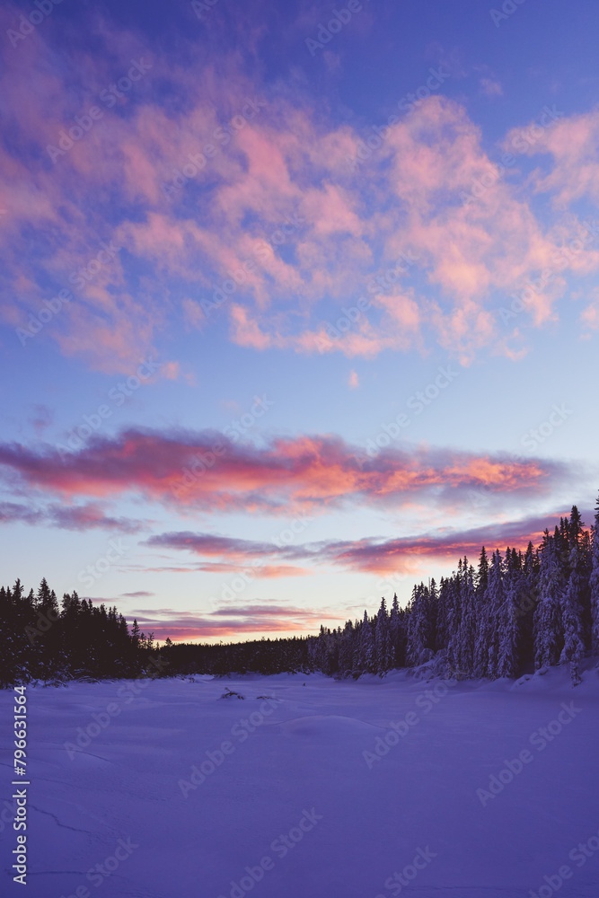 Image from the Alterdalstjernet Lake, part of the Totenaasen Nature Reserve up in the Totenaasen Hills, Norway, in winter.