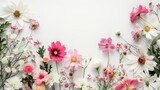 Beautiful flowers on white background, top view. Space for text
