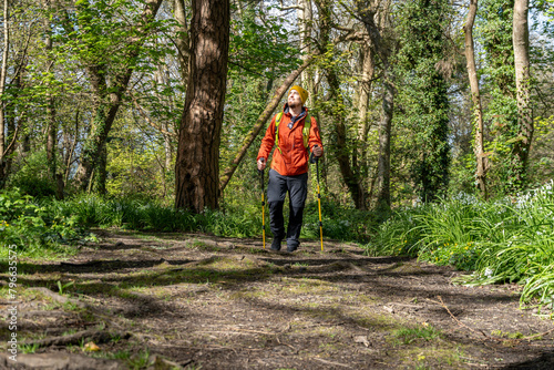 Hiker with trekking poles on forest trail, enjoying nature.