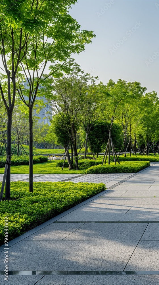 A Vertical Of A Walkway In The Park With Greenery And Trees.