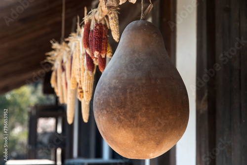 Принти на полотні View of the calabash and corns hanging in the traditional Korean rural house