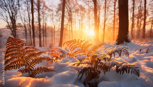 Zimowy poranek w lesie, paprocie. Generative AI photo