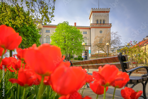 Bielsko-Biała architektura wiosna kwiaty © charlottemelanie