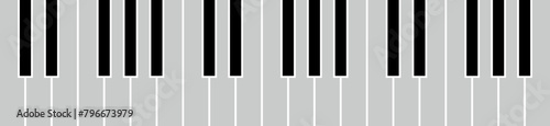 piano keys vector