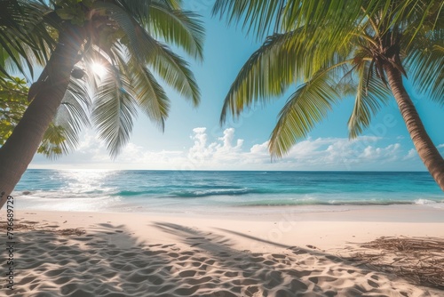 Beach with palm trees ocean landscape outdoors. © Rawpixel.com