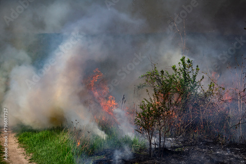 Vegetation fire in fields due to high temperatures. © Mogyldea