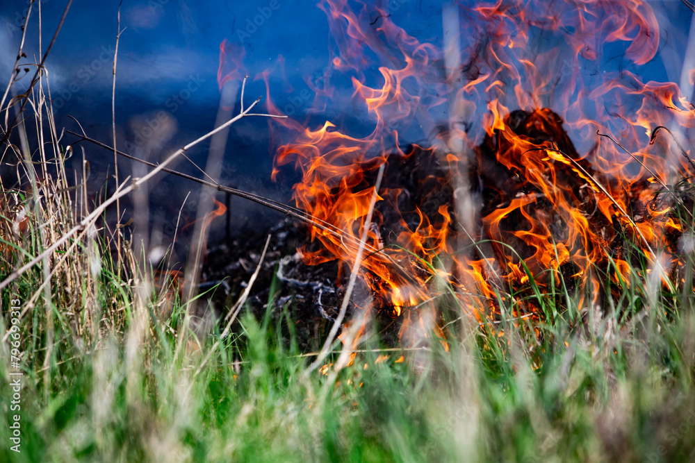 Vegetation fire in fields due to high temperatures. Vegetation fire in fields due to high temperatures.