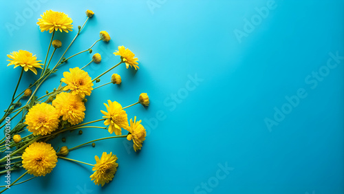 Studio shot photo of blue background yellow flowers photo