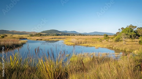 A scenic overlook offering breathtaking views of a sprawling marshland teeming with birdlife, set against a backdrop of rolling hills and distant mountains.