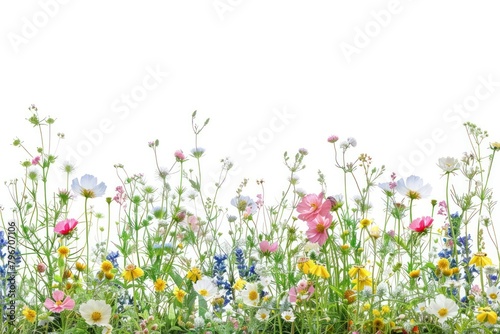 Flower countryside asteraceae vegetation. © Rawpixel.com