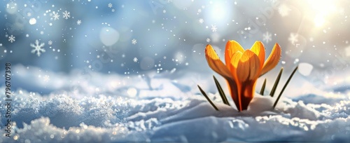 Lone Yellow Flower in Snow