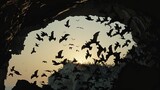 Close-up of a large swarm of bats emerging from a cave at dusk, their silhouettes stark against the twilight sky as they embark on their nightly hunt.