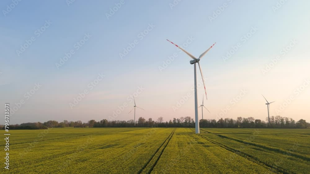 Wind Turbines Amidst Vibrant Rapeseed in Bloom Wind Turbines Amidst Vibrant Rapeseed in Bloom