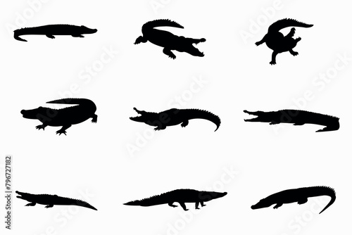 crocodile silhouettes