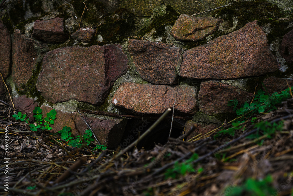 the stonework of the sewer in the old park the stonework of the sewer in the old park