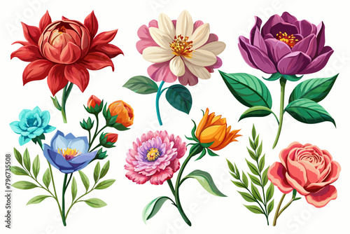 6-set-of-veristic-flower-vector illustration