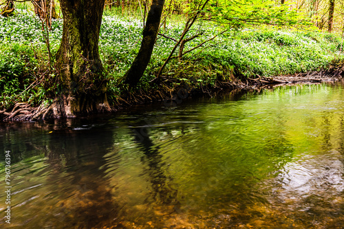 Wallpaper Mural The riverbank Torontodigital.ca