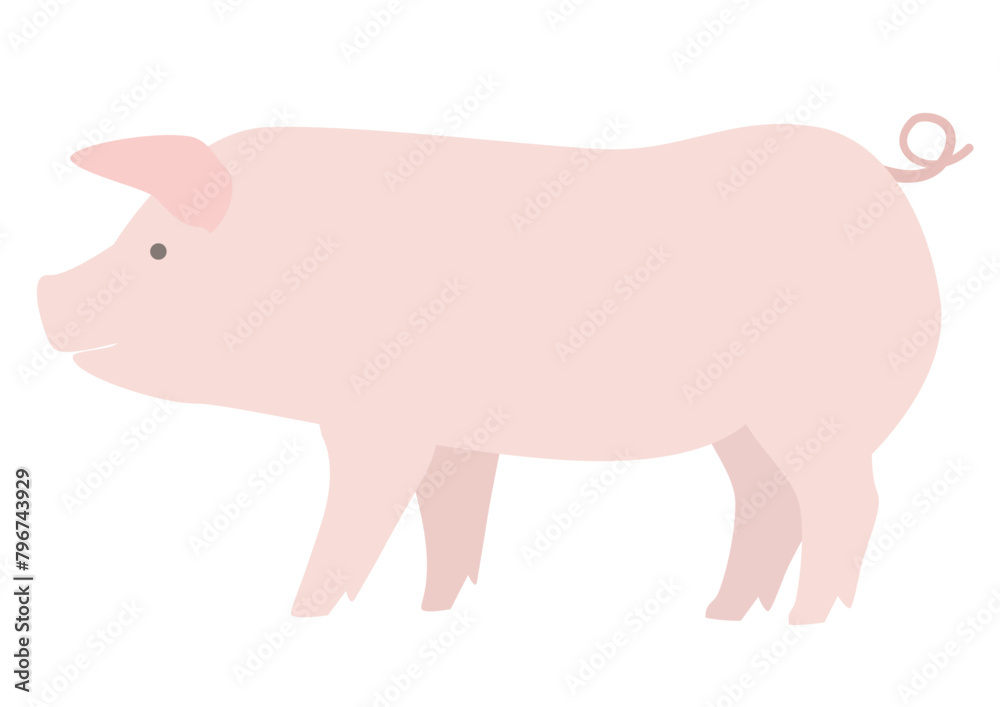 Simple illustration of a pig seen from the side Simple illustration of a pig seen from the side