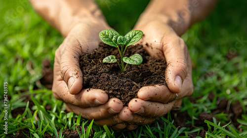 Hands nurturing a small green plant in soil, symbolizing growth and care photo