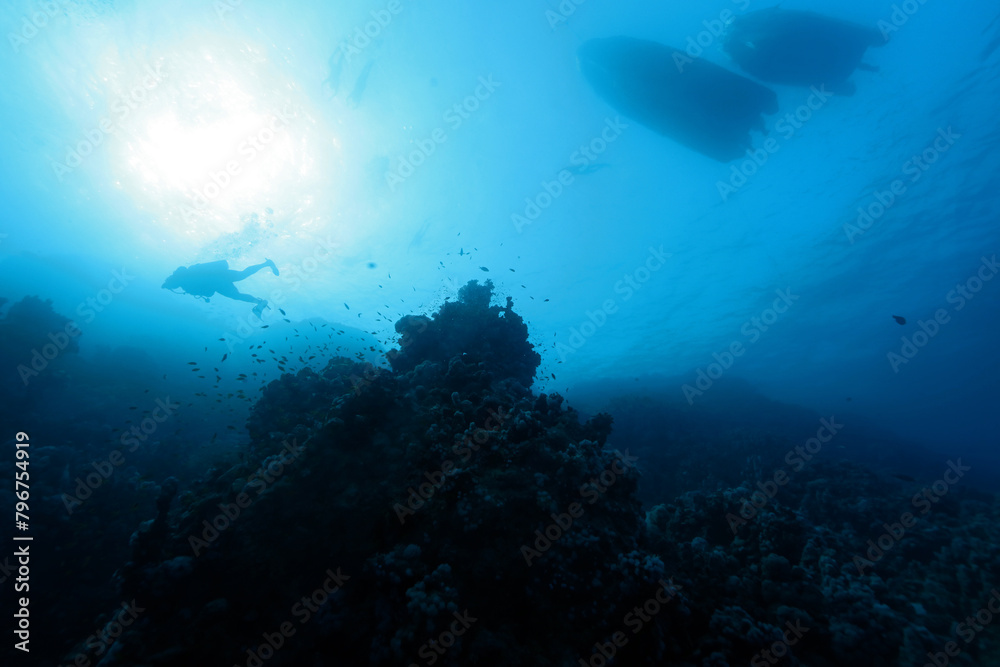 Fototapeta premium Scuba diver and Abu Dabab reef, underwater scene near Marsa Alam, Red Sea, Egypt