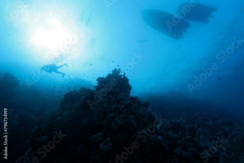 Scuba diver and Abu Dabab reef  underwater scene near Marsa Alam  Red Sea  Egypt