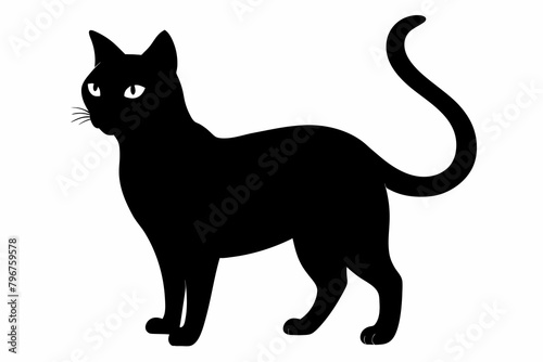 black cat silhouette vector illustration on white background