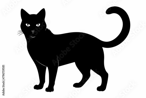 black cat silhouette vector illustration on white background