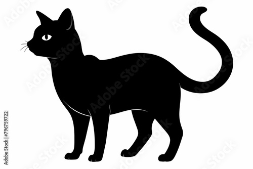black cat silhouette vector illustration on white background