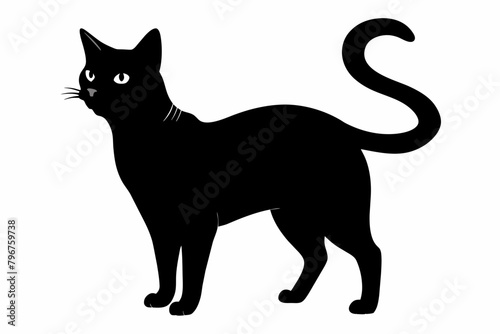 black cat silhouette vector illustration on white background