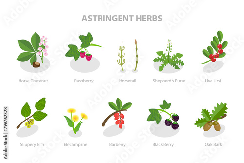 3D Isometric Flat  Set of Astringent Herbs, Natural Herbal Remedy photo