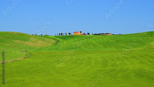 panorama of the Tuscan countryside in the Val d'Orcia in the province of Siena, Italy photo