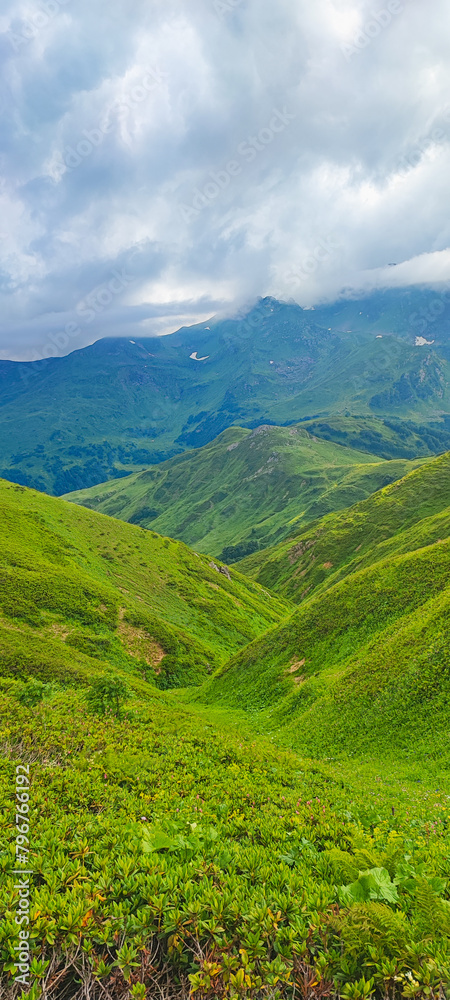 Obraz premium landscape with sky