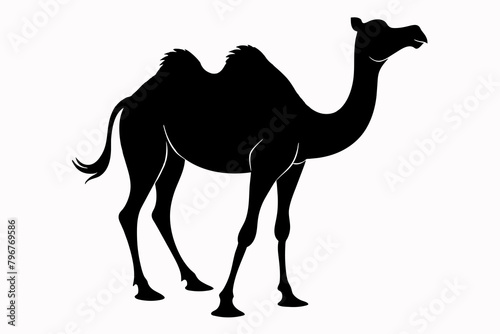 black camel in desert silhouette vector illustration on white background 