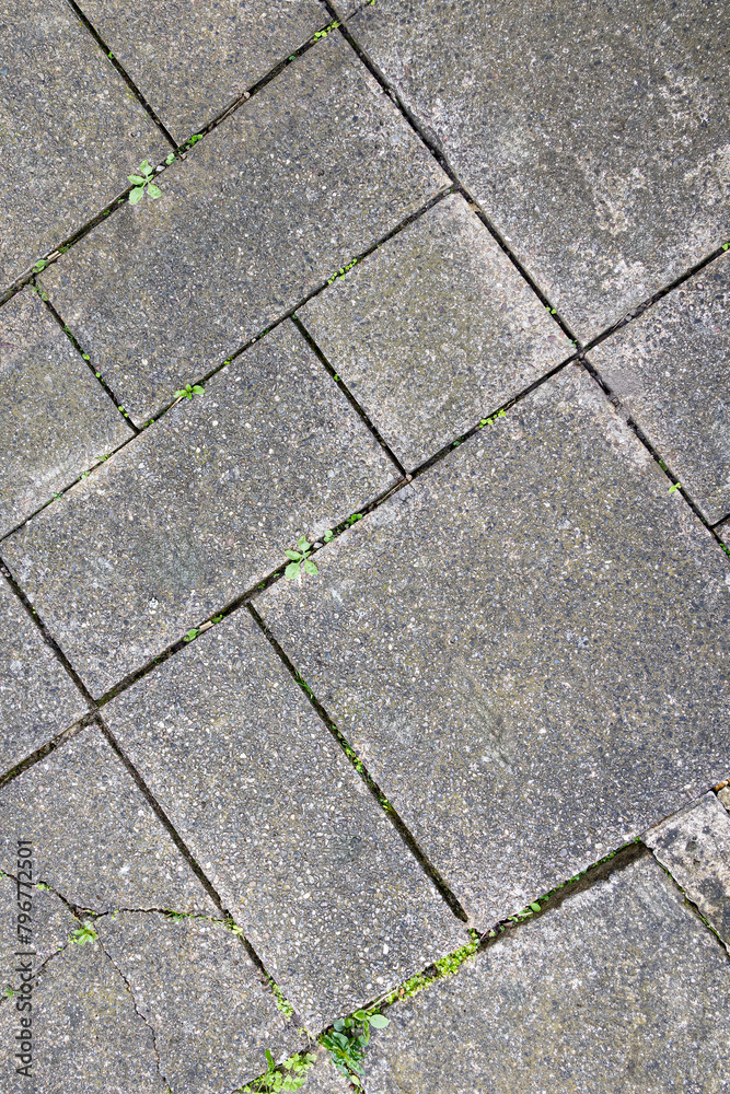 Patio paving with weeds in closeup