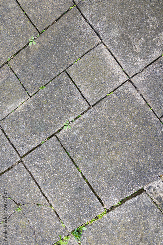 Patio paving with weeds in closeup