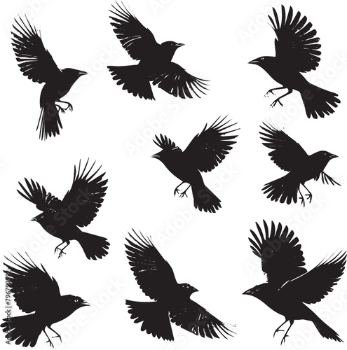 set of silhouettes of birds flying