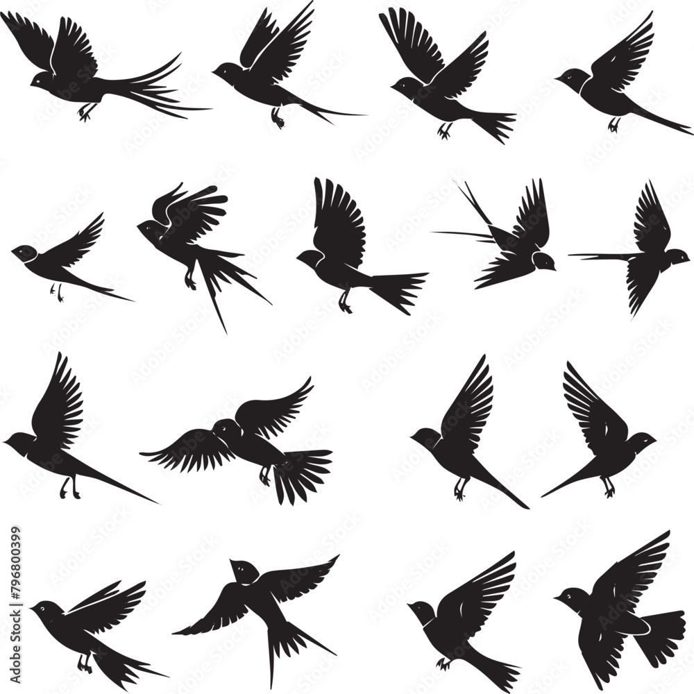 set of birds set of birds