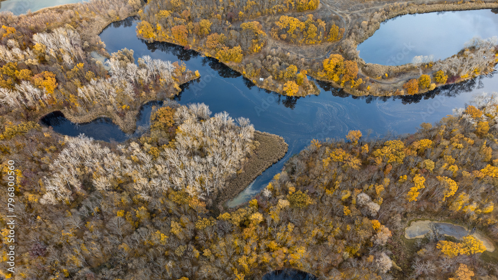 Fototapeta premium Aerial look down on river curves with autumn golden trees forest on riverbanks