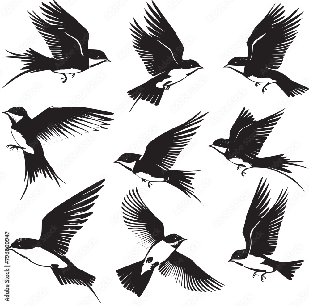 Obraz premium set of birds