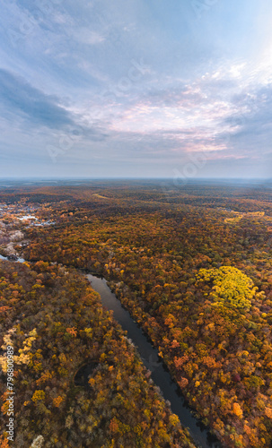 Aerial autumn river dale with golden forest on riverbanks and clouds vertical panorama