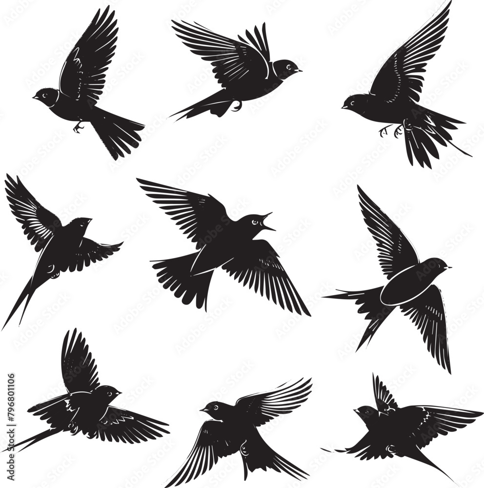 set of birds