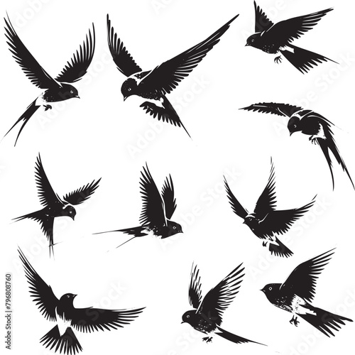 silhouettes of birds