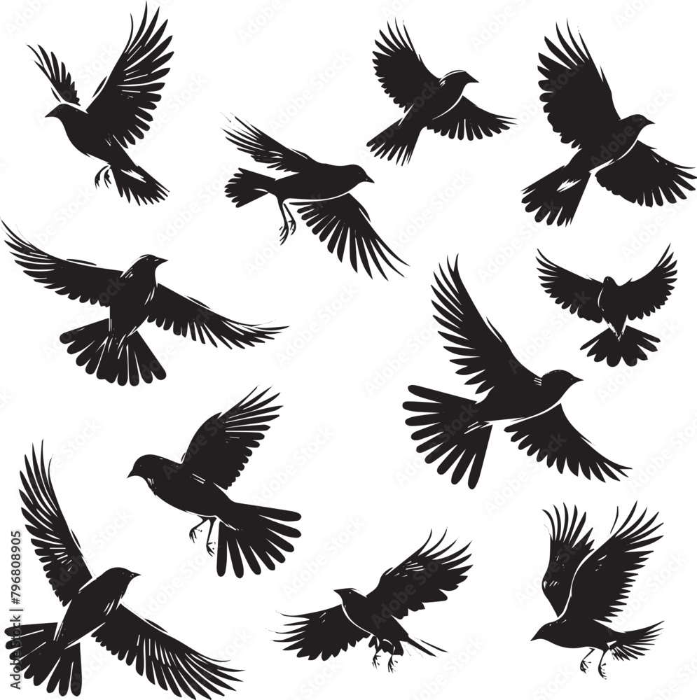 set of birds set of birds